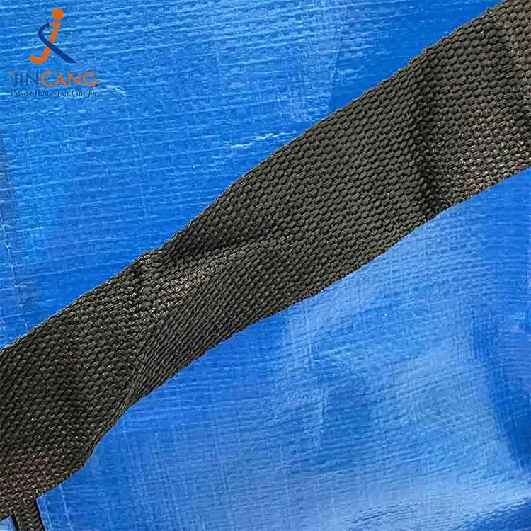 余分な大きな移動バッグ