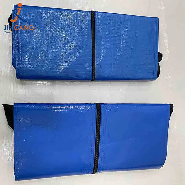 余分な大きな移動バッグ